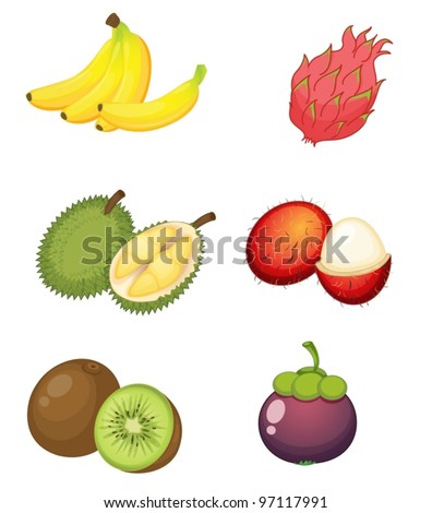 Illustration of fruits on a white background