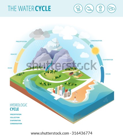Water Cycle Diagram Showing Precipitation Collection Stock ...