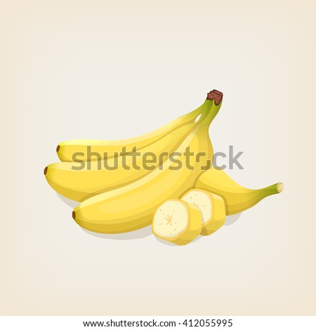 Vector bananas. Bunches of fresh banana and sliced banana. Vector illustration.