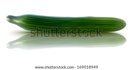 realistic illustration of fresh cucumber - vector illustration