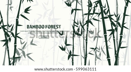 Bamboo forest set. Nature. Japan., China. Plant. Green tree with leaves. Rainforest in Asia.