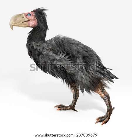 Cenozoic Stock Images, Royalty-Free Images & Vectors | Shutterstock