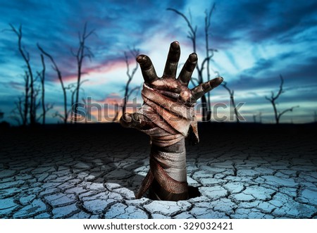 Zombie hand through Soil cracked in Magic land and blurred tree die background.Halloween theme Zombie hand through Soil cracked in Magic land and blurred tree die background.Halloween theme