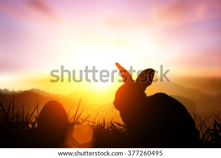 stock photo silhouette rabbit and egg on sunset for easter day 377260495