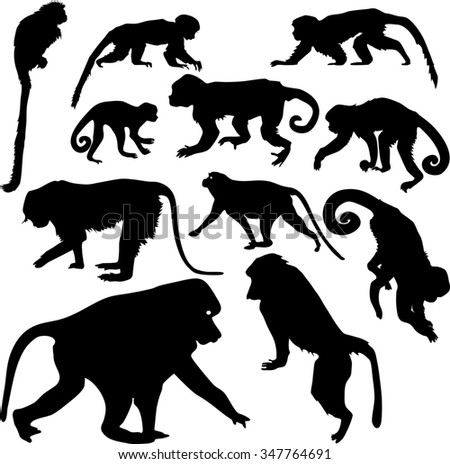 Monkey Silhouette Stock Photos, Images, & Pictures | Shutterstock