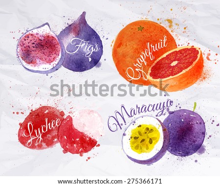 Fruit set drawn watercolor blots and stains with a spray figs, grapefruit, lychee, maracuya