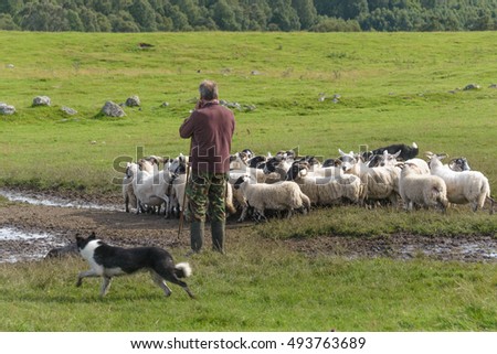 Dating farmers scotland