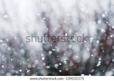 Detail of softly falling snowflakes.