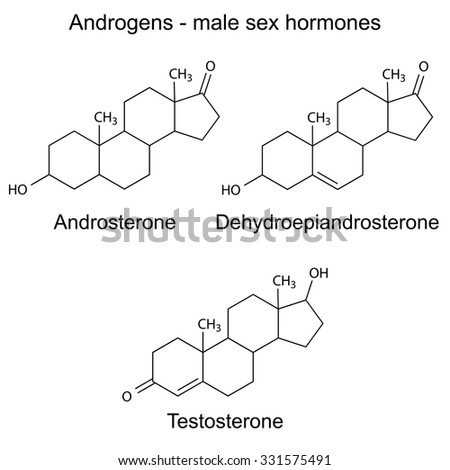 Androsterone Stock Photos, Royalty-Free Images & Vectors - Shutterstock