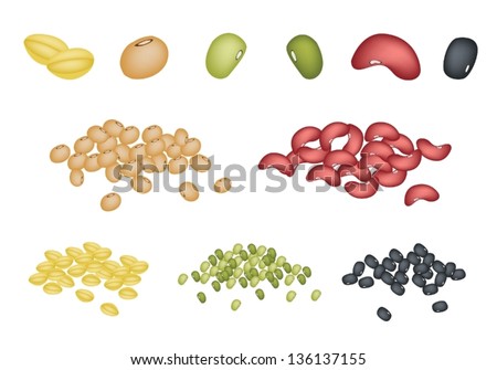 A Different Dried Beans, Mung, Kidney, Black Eye, Soy Bean and Yellow Split Peas on Multicolor Background.