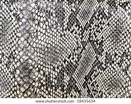 Snake Pattern Stock Images, Royalty-Free Images & Vectors | Shutterstock