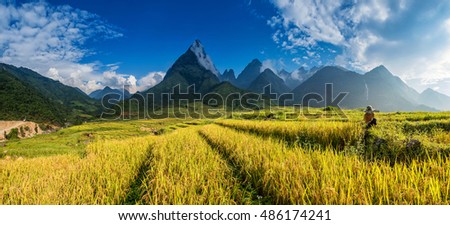 Beautiful Rice field landscape, The summit of Fan Si Pan or Phan Xi Pang mountain the highest mountain in Indochina at SAPA , Lao Cai, Vietnam