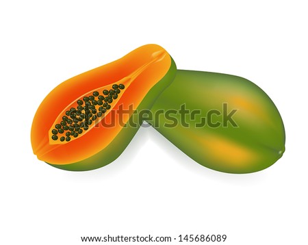 vector illustration . papaya on white background