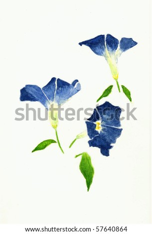 Morning Glory Stock Photos, Images, & Pictures | Shutterstock