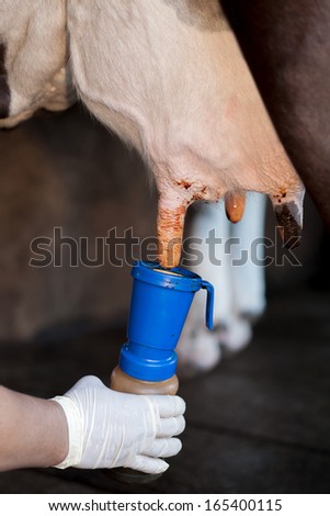 Teat Stock Photos, Images, & Pictures | Shutterstock