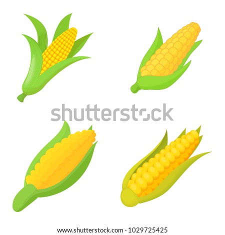 Maize Stock Images, Royalty-Free Images & Vectors | Shutterstock