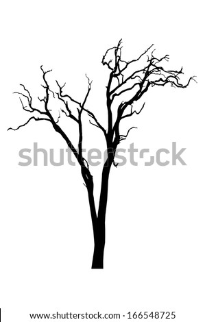 Tree No Leaves Stock Photos, Images, & Pictures | Shutterstock