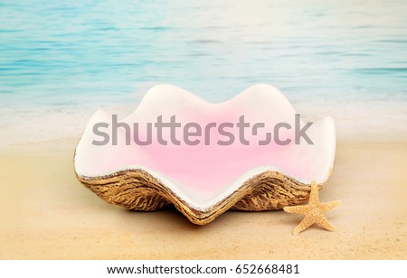 Digital Photography Background Of Mermaid Clam Shell Prop On Beach Ocean Backdrop