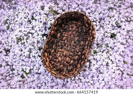 Background Of Purple Flower Garden And Woven Basket Prop
