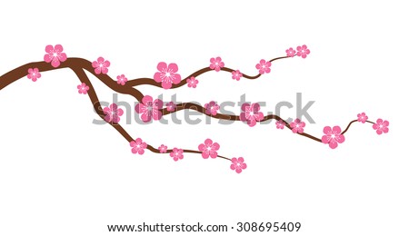 Peach or cherry blossom tree branch with flowers flat vector graphic