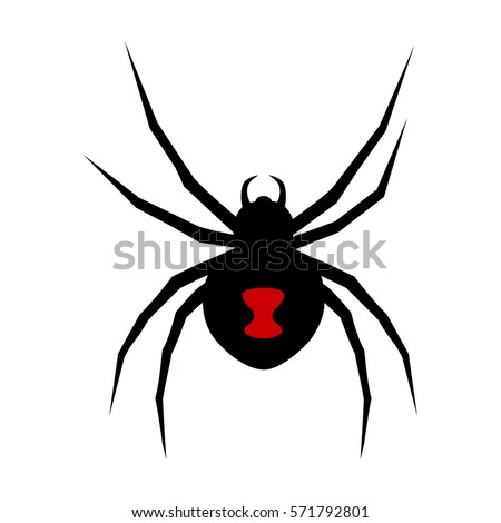 black widow spider stock images, royalty-free images & vectors ... - Black Widow Spider Coloring Pages black widow spider stock images, royalty-free images & vectors ... - Black Widow Spider Coloring Pages