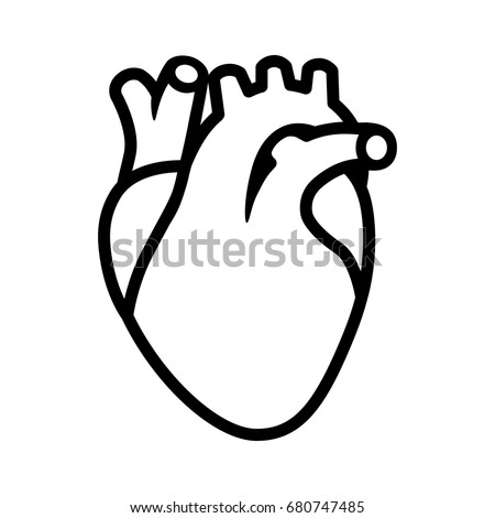 Aorta Stock Images, Royalty-Free Images & Vectors | Shutterstock