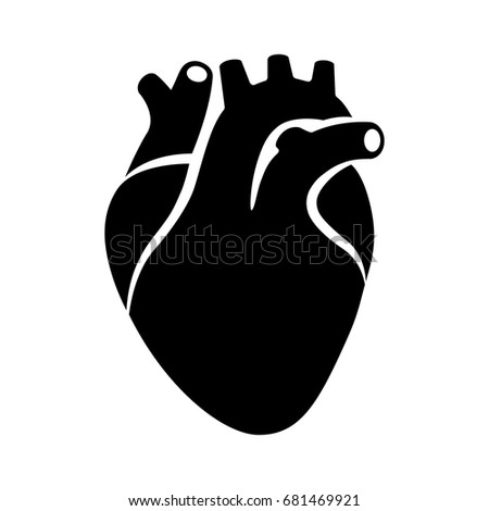 Aorta Stock Images, Royalty-Free Images & Vectors | Shutterstock