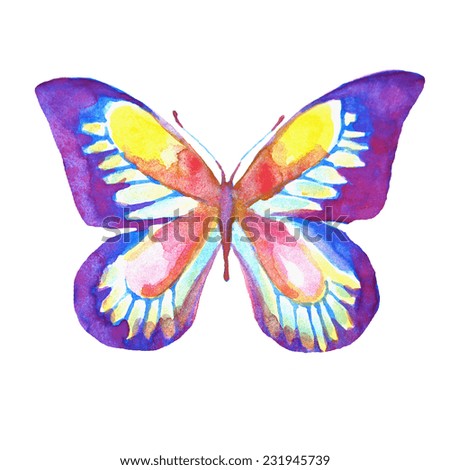 Delicate Colorful Butterfly Hand Paintedpicture Have Stock Illustration ...