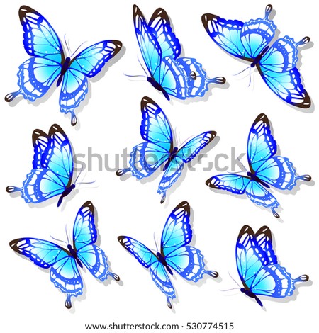 Butterflies Design Vector Stock Vector 129323153 - Shutterstock