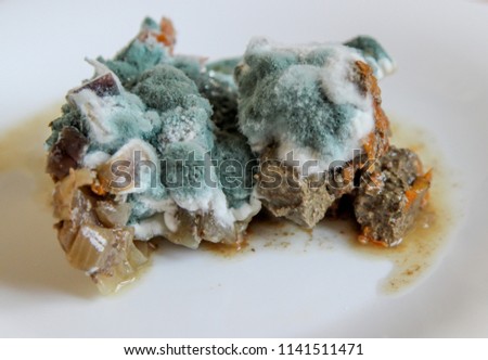 stock-photo-closeup-of-rotting-food-mold-growing-on-stewed-vegetables-and-meat-1141511471.jpg