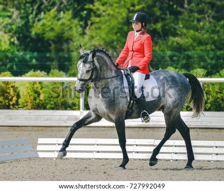 Bridle Stock Images,