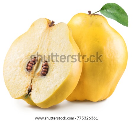 Quince with quince leaf. File contains clipping path.