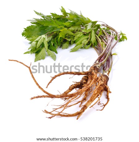 A close up of the medicinal plant ginseng Isolated on white.
