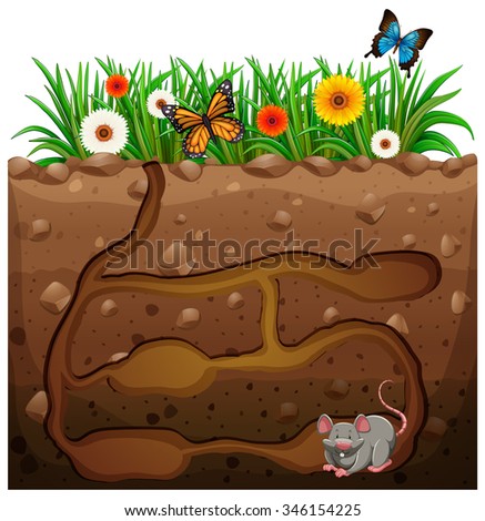 Mouse-hole Stock Images, Royalty-Free Images & Vectors | Shutterstock