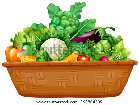 Basket Of Fresh Vegetables Illustration Fresh Vegetables Box Illustration Stock Vector 367536815