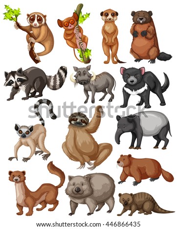 Set of many wild animals illustration