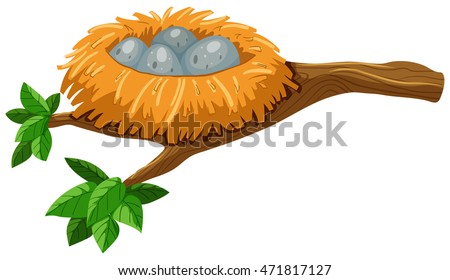 Four Eggs Bird Nest Illustration Stock Vector 471817127 - Shutterstock