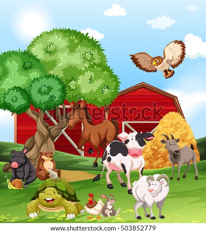 Paddock Stock Vectors, Images & Vector Art | Shutterstock