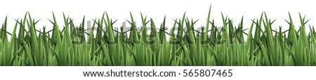 Seamless background design with green grass illustration