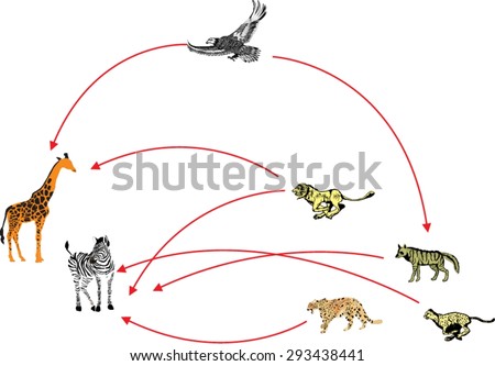 Chetah Stock Photos, Royalty-Free Images & Vectors - Shutterstock