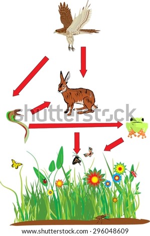 Baurz1973's Portfolio on Shutterstock