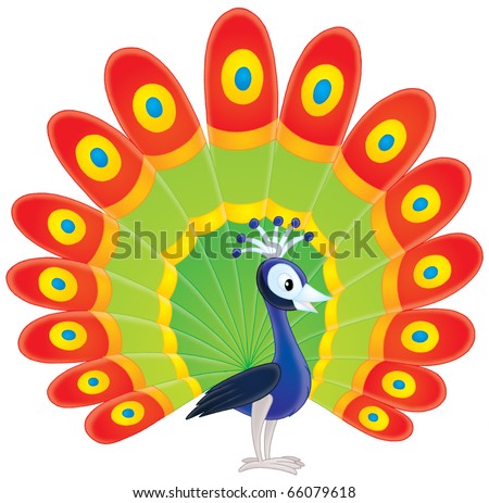 Peacock cartoon Stock Photos, Images, & Pictures | Shutterstock