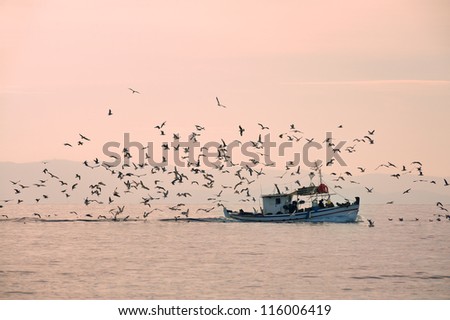 Fishing boat followed by seagulls