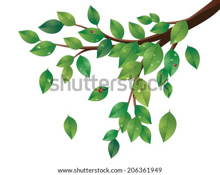 Tree Branch Isolated Stock Vectors & Vector Clip Art | Shutterstock