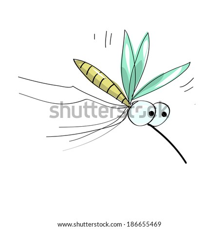 Flies , Gnats and Midges | NatureSpot