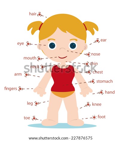 Cartoon Body Parts Stock Photos, Images, & Pictures | Shutterstock