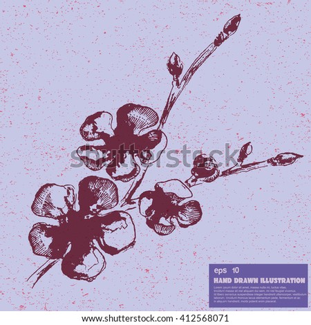 Vector sketch of fruit tree in blossom. Hand drawn illustration in graphic style. Floral drawing isolated on vintage background.