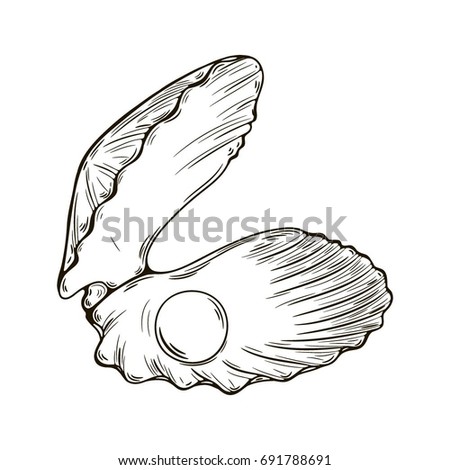 Seashell Pearl Sketch Style Vector Illustration Stock Vector 395209723 ...