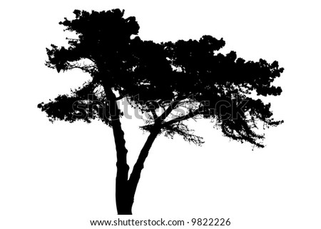 Vector Tree Silhouette Stock Vector 15510802 - Shutterstock