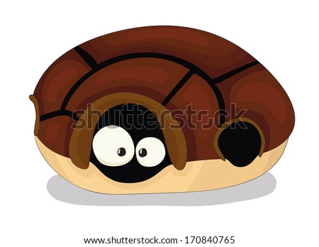 Tortoise-shell Stock Photos, Images, & Pictures | Shutterstock